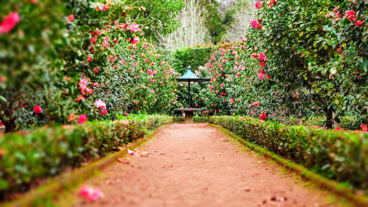 Outdoor property maintenance